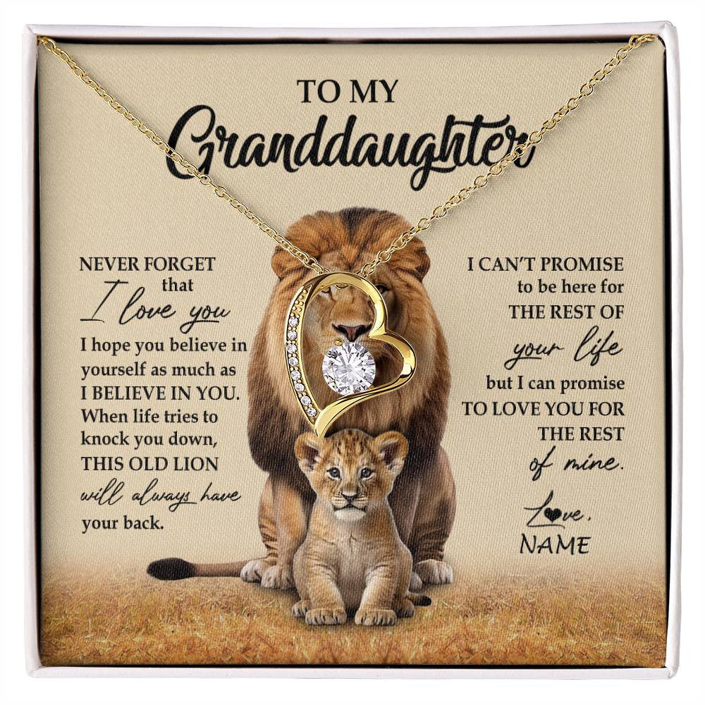 Personalized To My Granddaughter Necklace From Grandpa Papa Lion Never Forget That I Love You Granddaughter Jewelry Birthday Christmas Customized Message Card
